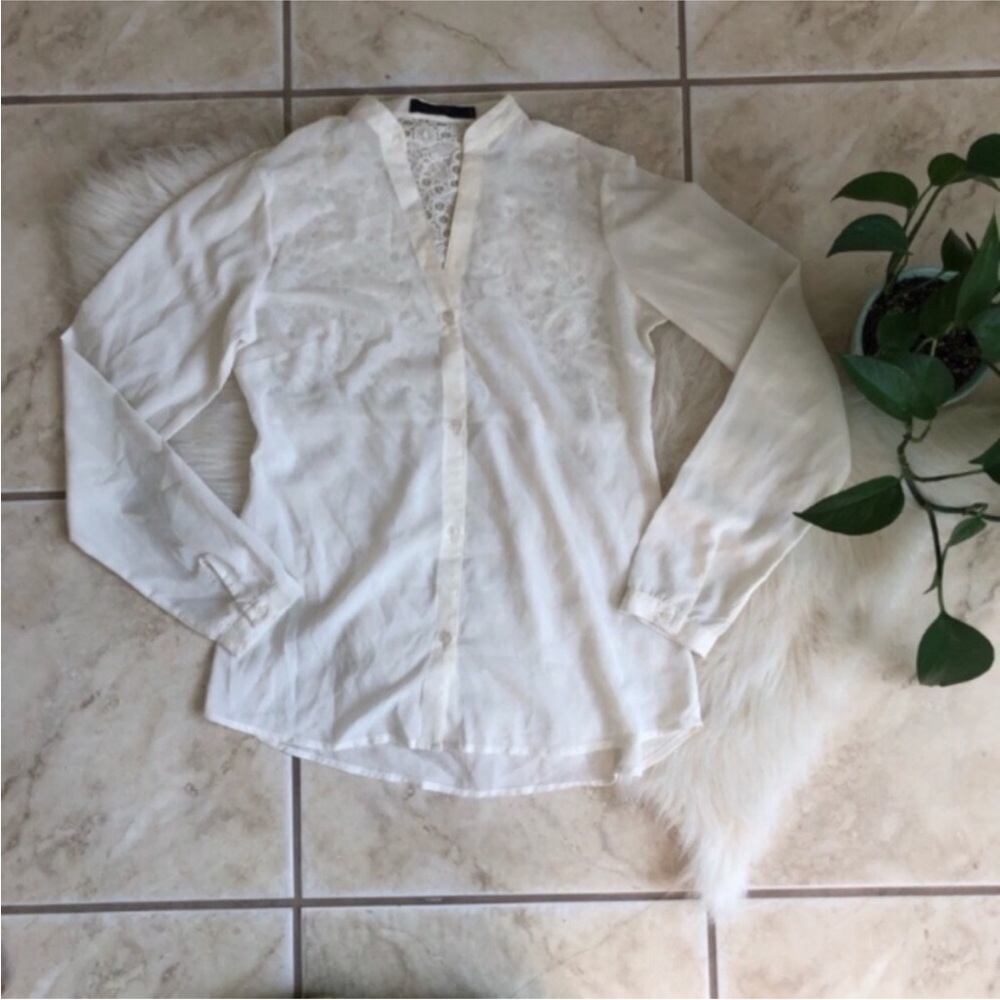 The Limited Lacy Buttondown Blouse